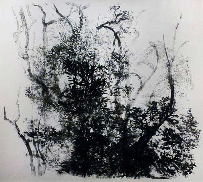 Kruijff_J-bomen_litho-1985